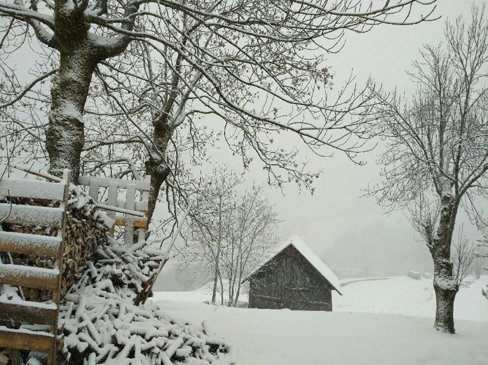Chalet Lucie Le Cheval Noir Valmorel Luaran gambar
